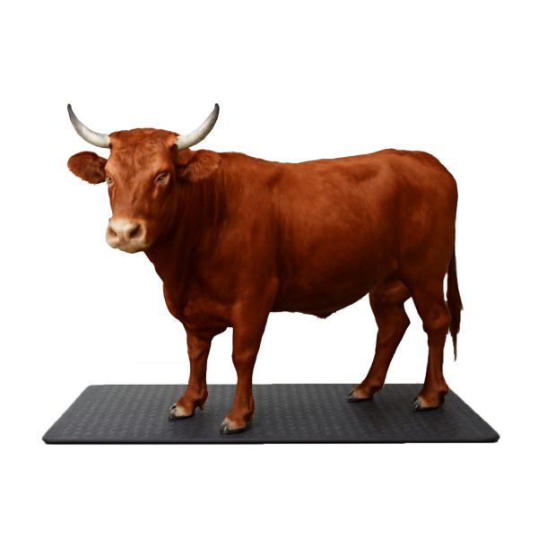 Rubber Mat For Cow