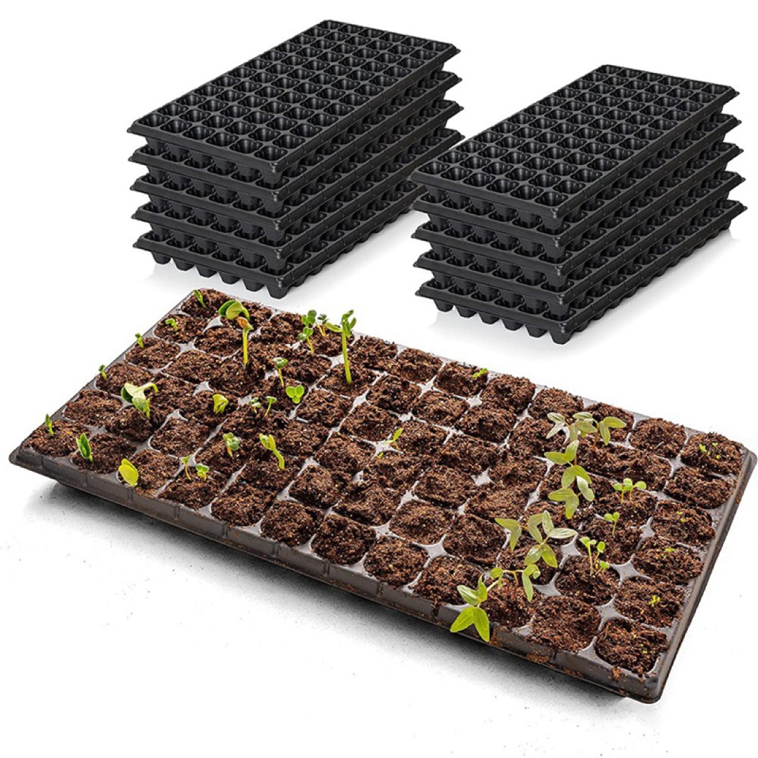 Seedling Trays