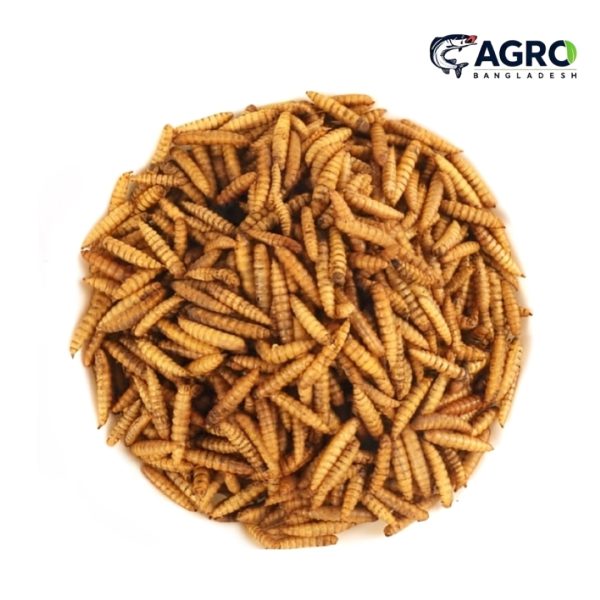 Black Soldier Fly Dry Larvae